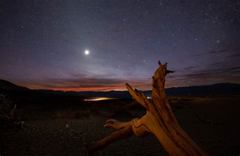 venus gratis|Observez Vénus de retour dans le ciel du soir… 